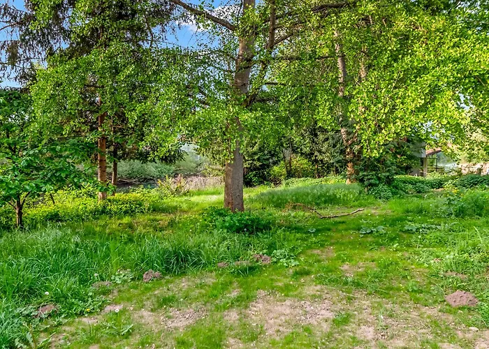 Altstadt Apartment Am Wasser Mit Parkplatz Und Riesigem Garten