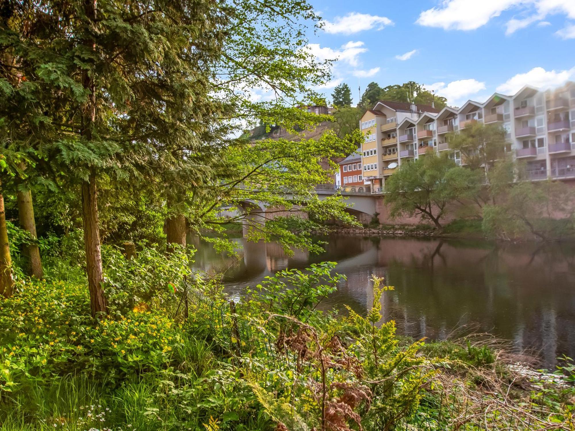 Altstadt Am Wasser Mit Parkplatz Und Riesigem Garten Apartment Bad Kreuznach